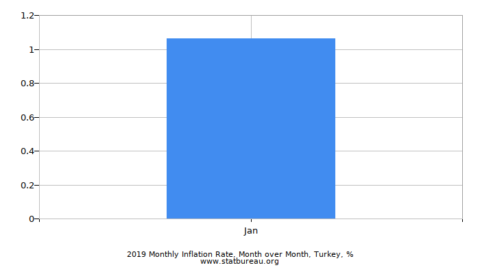 2019 Monthly Inflation Rate, Month over Month, Turkey